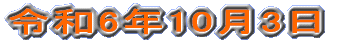 ߘa6N619
